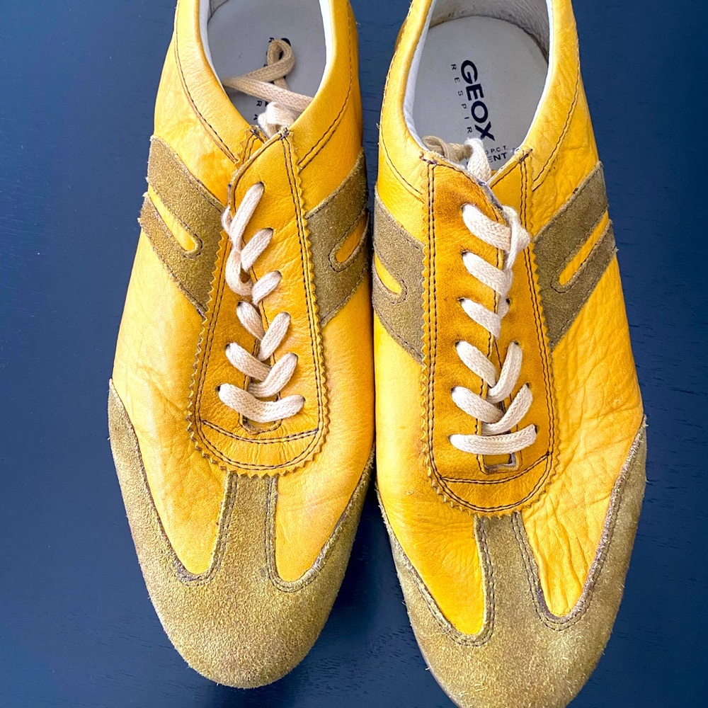Geox mens shoes